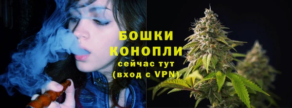 гидропоника Нягань