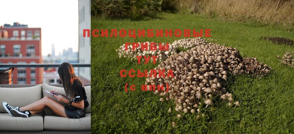 гидропоника Нягань