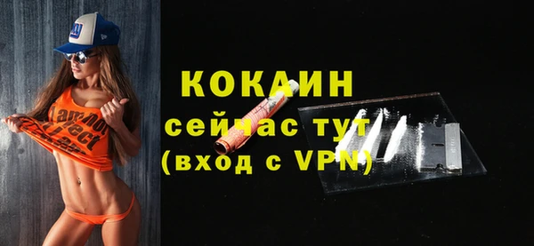 apvp Няндома