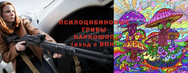 apvp Няндома