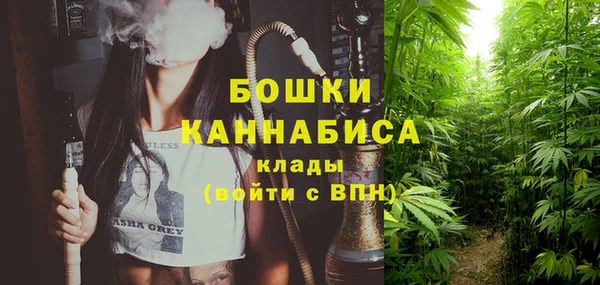 apvp Няндома