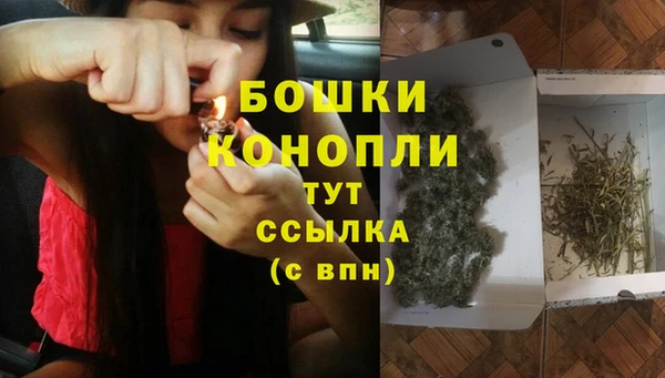 apvp Няндома