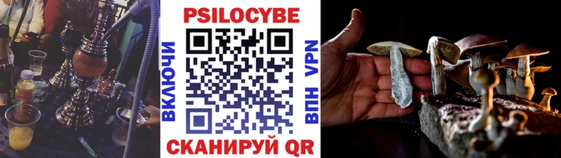 Галлюциногенные грибы мицелий  Котельнич 